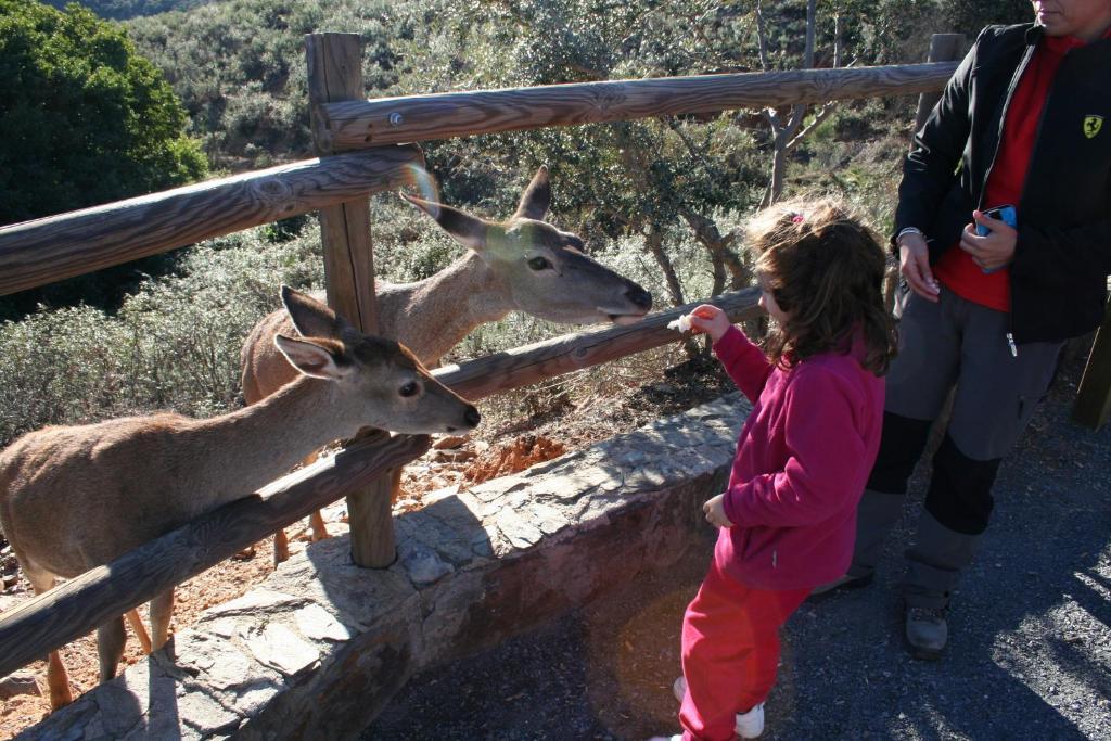 Complejo Turistico Las Canadas Casas De Campo- Actividades Gratuitas Todos Los Fines De Semana Banos De Montemayor Bagian luar foto